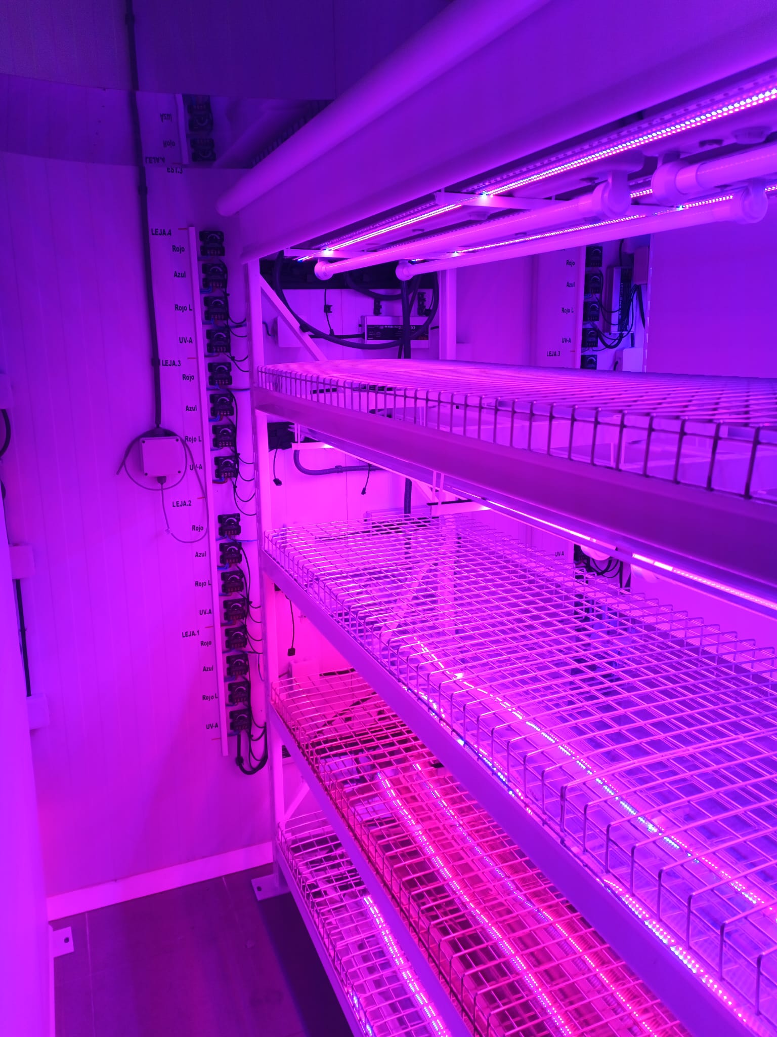 Sistemas de Cultivo de Alta Precisión