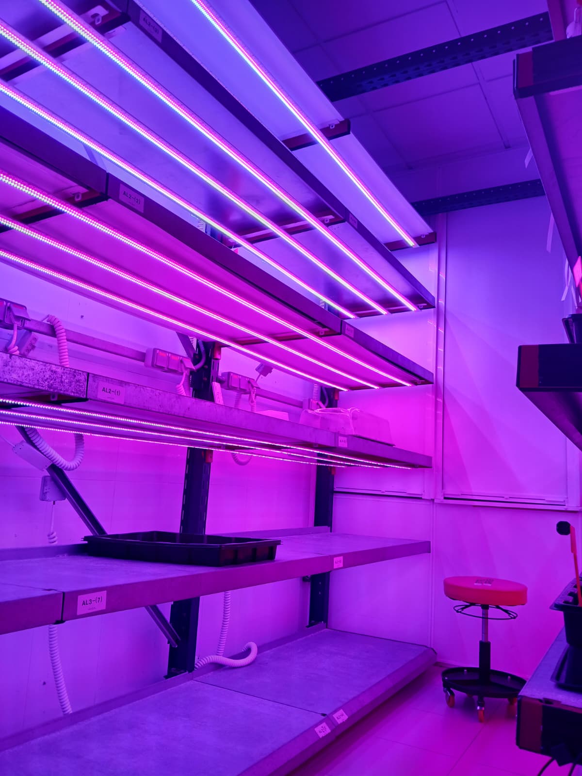 Sistemas de Cultivo de Alta Precisión