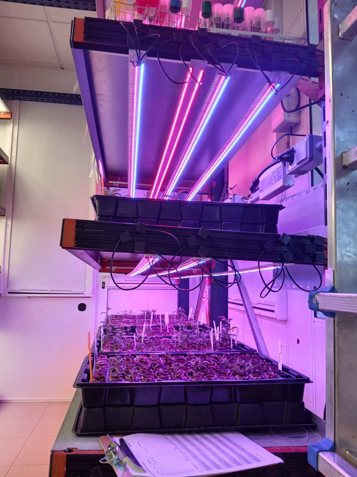 Sistemas de Cultivo de Alta Precisión