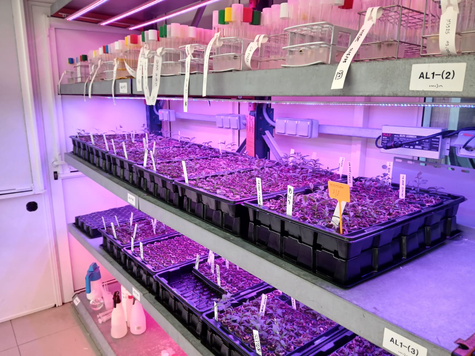 Sistemas de Cultivo de Alta Precisión