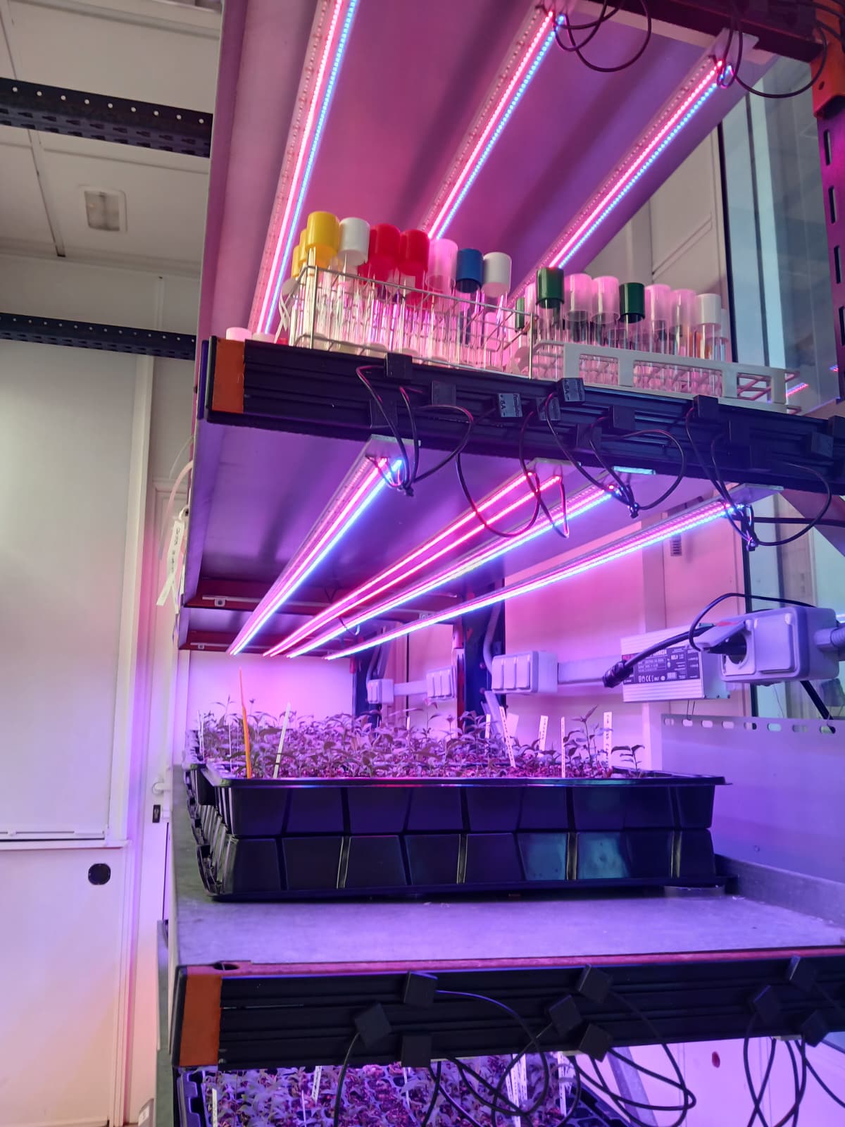 Sistemas de Cultivo de Alta Precisión