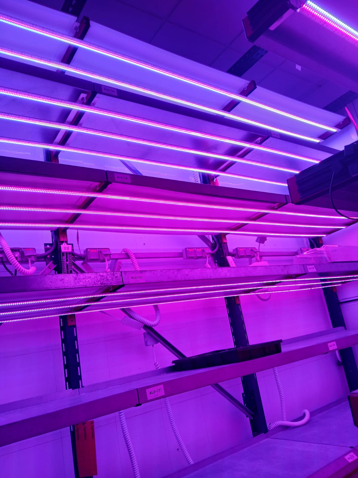 Sistemas de Cultivo de Alta Precisión