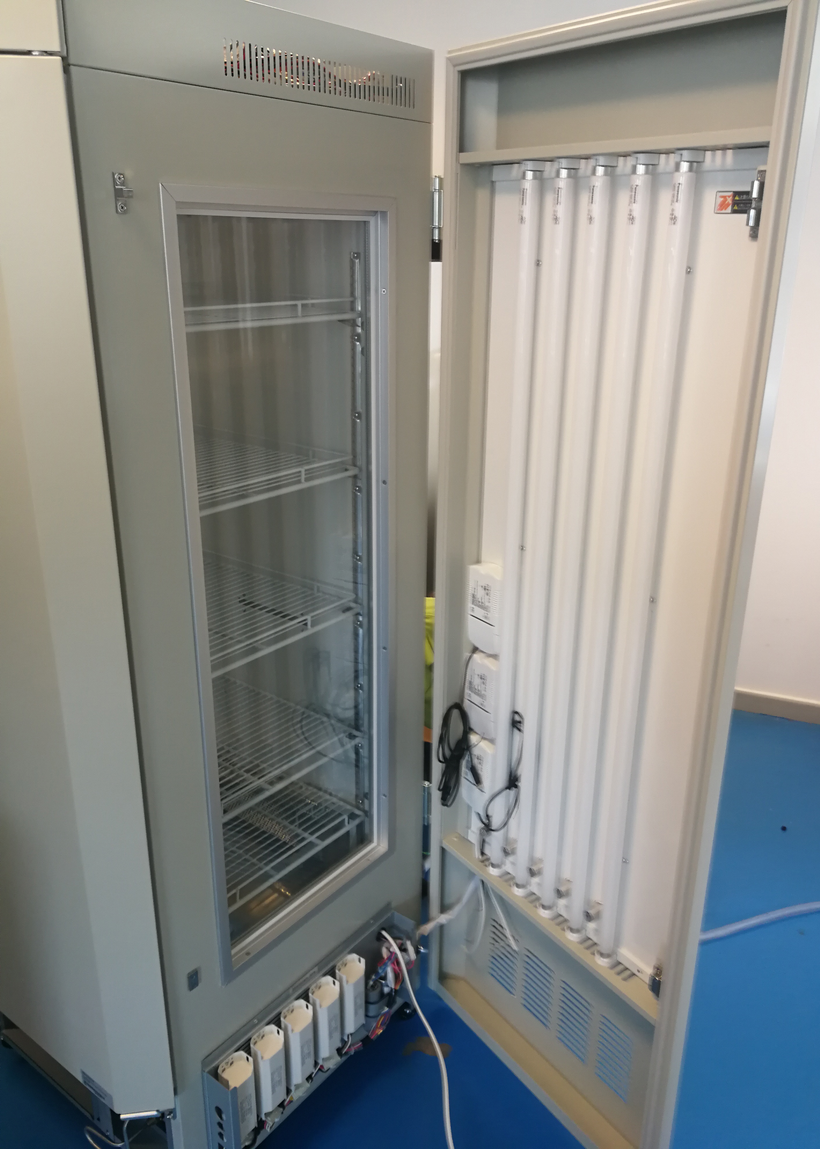 Universidad Politécnica de Cartagena