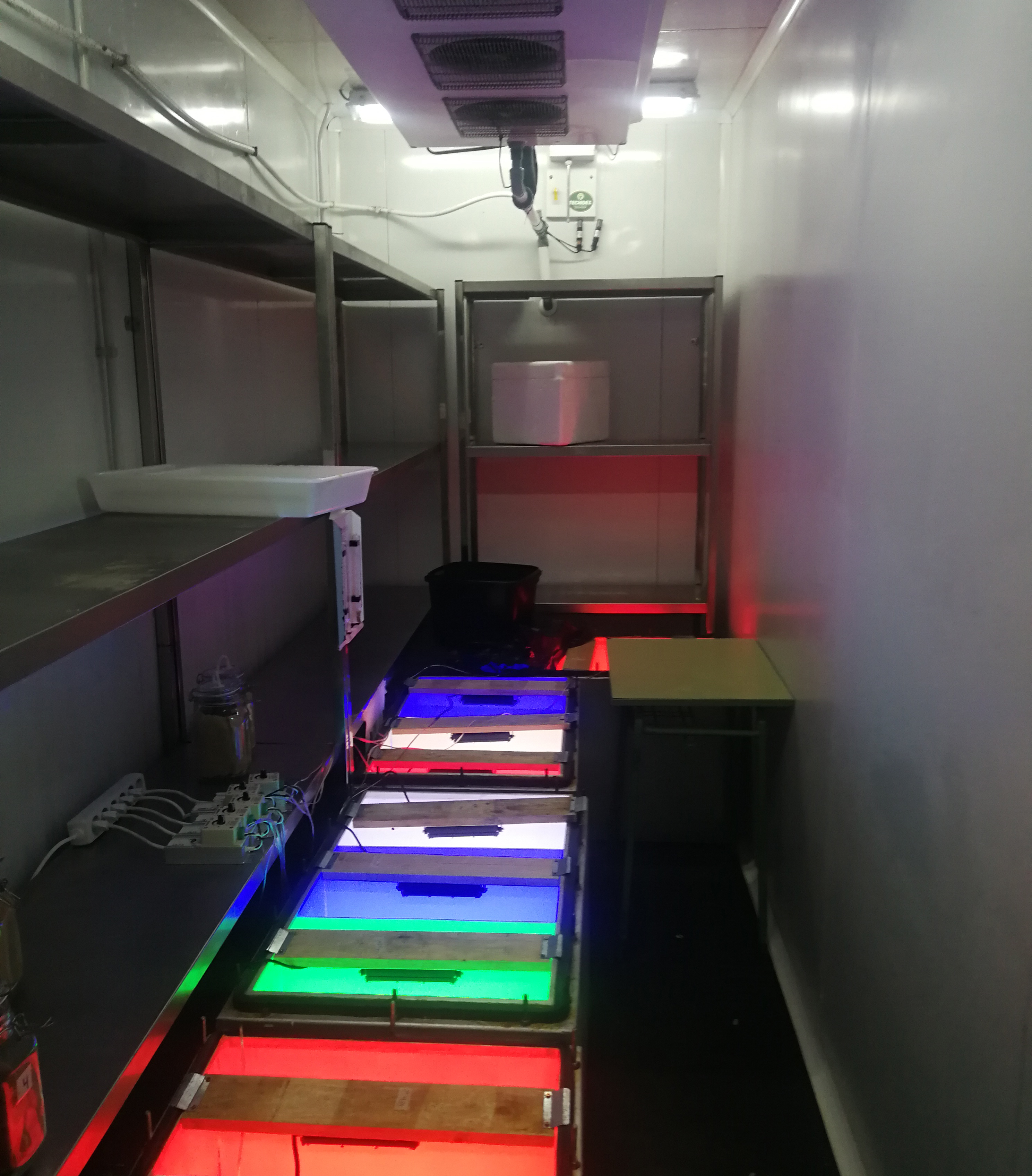 Universidad Politécnica de Cartagena