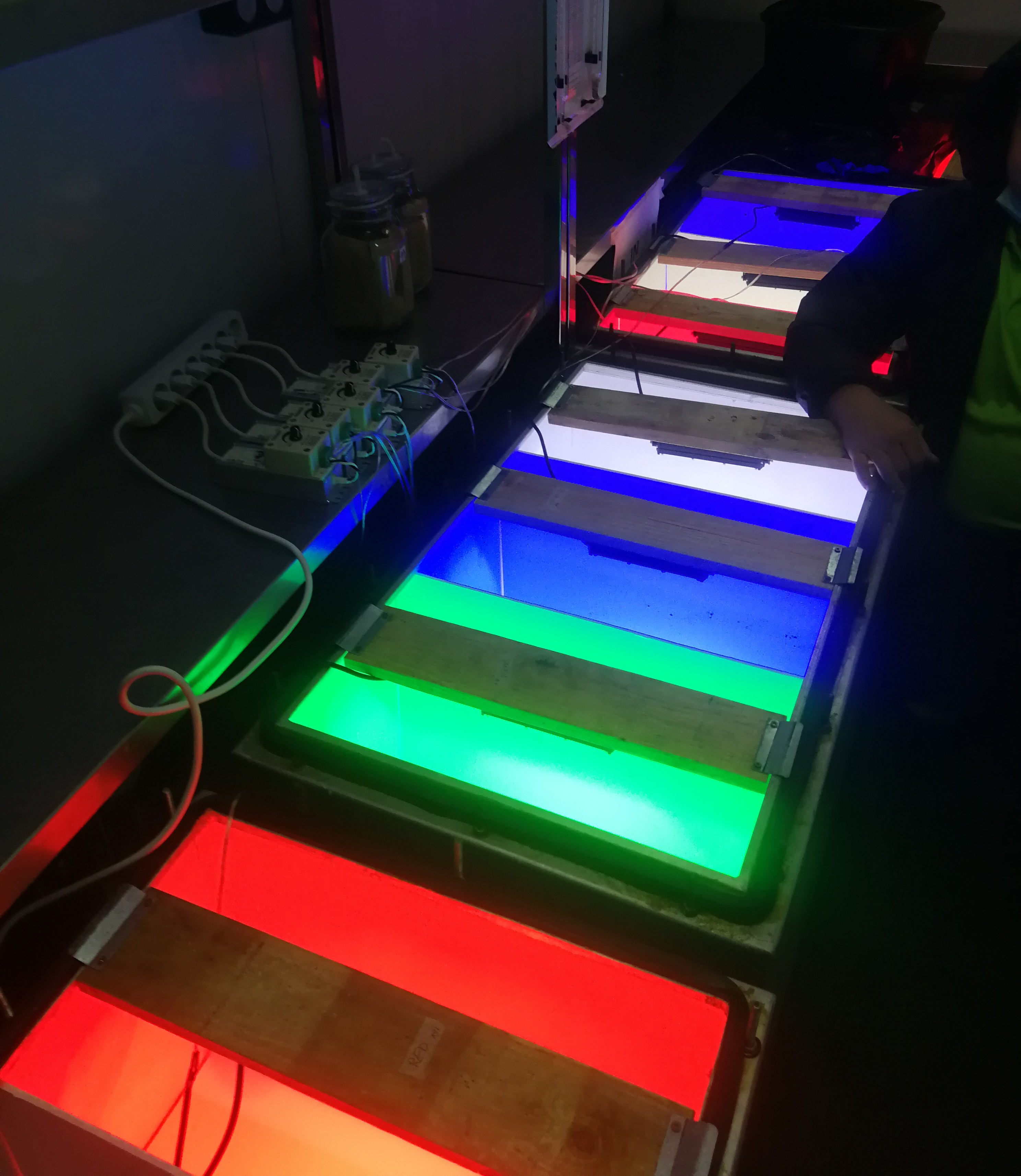 Universidad Politécnica de Cartagena