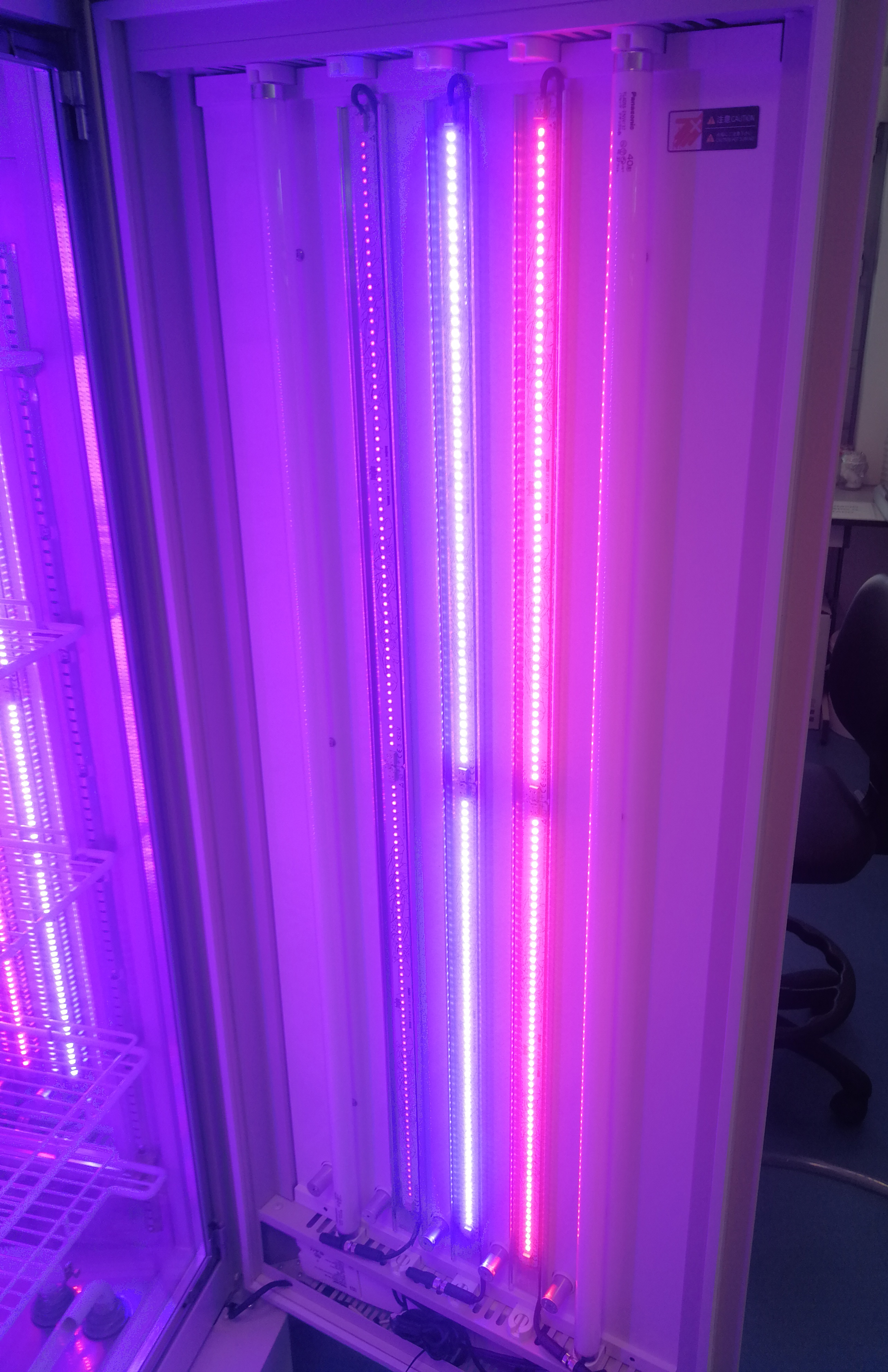 Universidad Politécnica de Cartagena